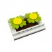 1 SET Flower Bed